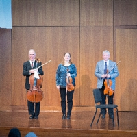 Grand Valley Faculty String Trio